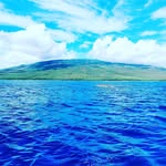 Michael Ewing - @michael.ewing.1 - Instagram