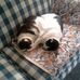 Michael Ewoldt - Facebook