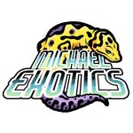 MichaelExotics - @michael_exotics - Instagram