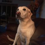 Michael Eyer - @jmeyer5248 - Instagram
