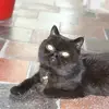 michaeleyres - @michaeleyres - TikTok