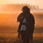 Michael Falk | Wildlife Photographer - @michael__falk - Instagram