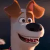 Michel Faatz - @michel.faatz - TikTok