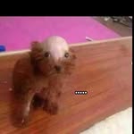 Michael fabello - @fabello.michael - Instagram