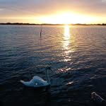 Michael Fabricius Johansen - @fabricius1992 - Instagram