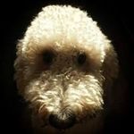 Michael Fagerlie - @fagerlie_49 - Instagram