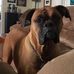 Michael Fago - Facebook