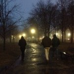 Michael Falzone - @michaelfalzone - Instagram