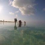 Michael Farquharson - @farquharsonmichael - Instagram