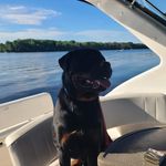 Michael Faubert - @michaelfaubert - Instagram