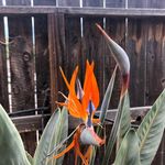 Michael Fausto - @michaelfausto6169 - Instagram