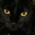 Michael Fernes - Facebook