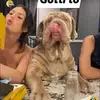 michaelfedorko0 - @michaelfedorko0 - TikTok