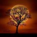 Michael Fehl - Facebook
