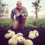 Michael Fell - @mikefellsafaris - Instagram