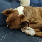 Michael Ference - @mdference - Instagram