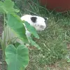 Michael Ferrel - @michael.ferrel8 - TikTok