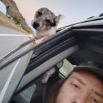 Michael Ferrier - @michael.ferrier.7927 - Instagram