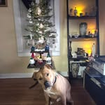 Feury James Michael - @michael_feury_ - Instagram