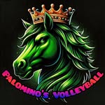 Michael Feury - @palominos_volleyball - Instagram