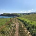 Michael - @michael_fielden - Instagram