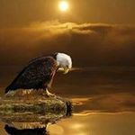 Michael R. Filkins - @baldwonder69 - Instagram