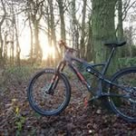 Michael Finney - @michaelfinney53 - Instagram