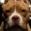 michaelfinney4023 - @michaelfinney4023 - TikTok