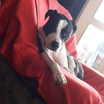 Michael firenze - @firenze1982 - Instagram