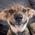 Michael Fishbaugh - Facebook