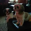 Michael Fitzpatrick  - @michaelfitzpatric39 - TikTok