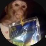 Michael Fizer - @bigmik3_0121 - Instagram