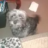 michaelflack42 - @michaelflack42 - TikTok