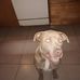 Michael Flanary - Facebook
