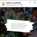 Michel Flanders - Facebook