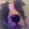michaelflavell701 - @michaelflavell701 - TikTok
