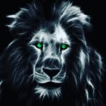 michaelfrecha - @michaelflecha54 - Instagram