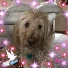Michael Fleck - @2184722211 - TikTok