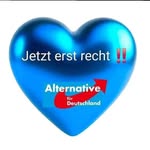 Michael Fleischmann - @michael.fleischmann.0168 - Instagram