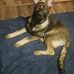 Mike Flickinger - Facebook