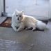 Michael Flinn - Facebook