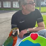 Michael Flockenhaus - @michaelflockenhaus - Instagram