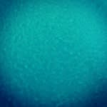 michael_florek - @michael_florek - Instagram