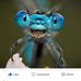 Michael Florek - Facebook