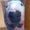 Michael Florio - @waltercupwithnovids - TikTok