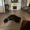 Michael Floyd - @michael.floyd08 - TikTok