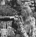 Michaela Flug - Facebook