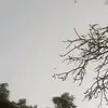 ftgkhzzohd4 - @michael_mcflurry - TikTok