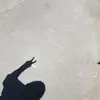 Michael Fogleman - @michaelfogleman4 - TikTok