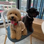 Michael Foong - @michaelfoongcw - Instagram